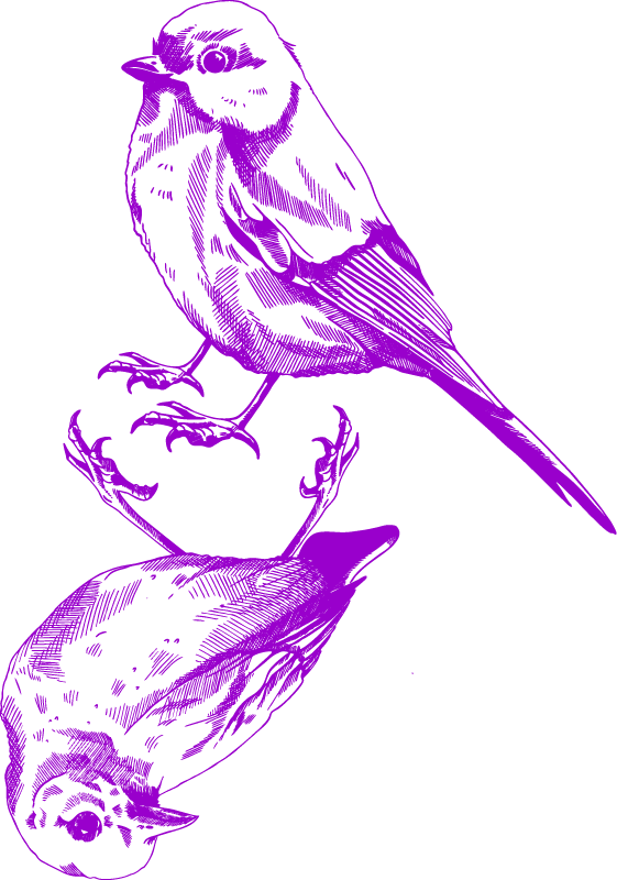 2 birds